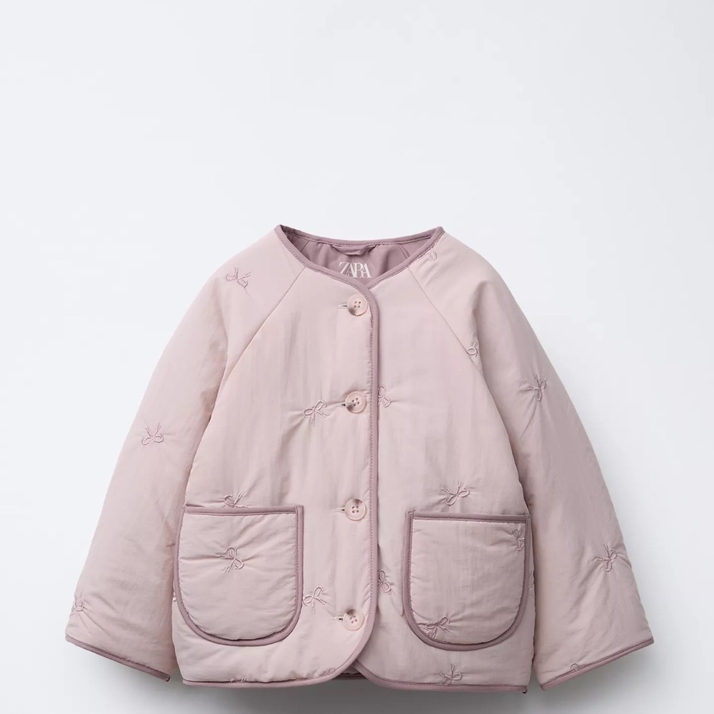 Zara Blush Pink Embroidered Jacket